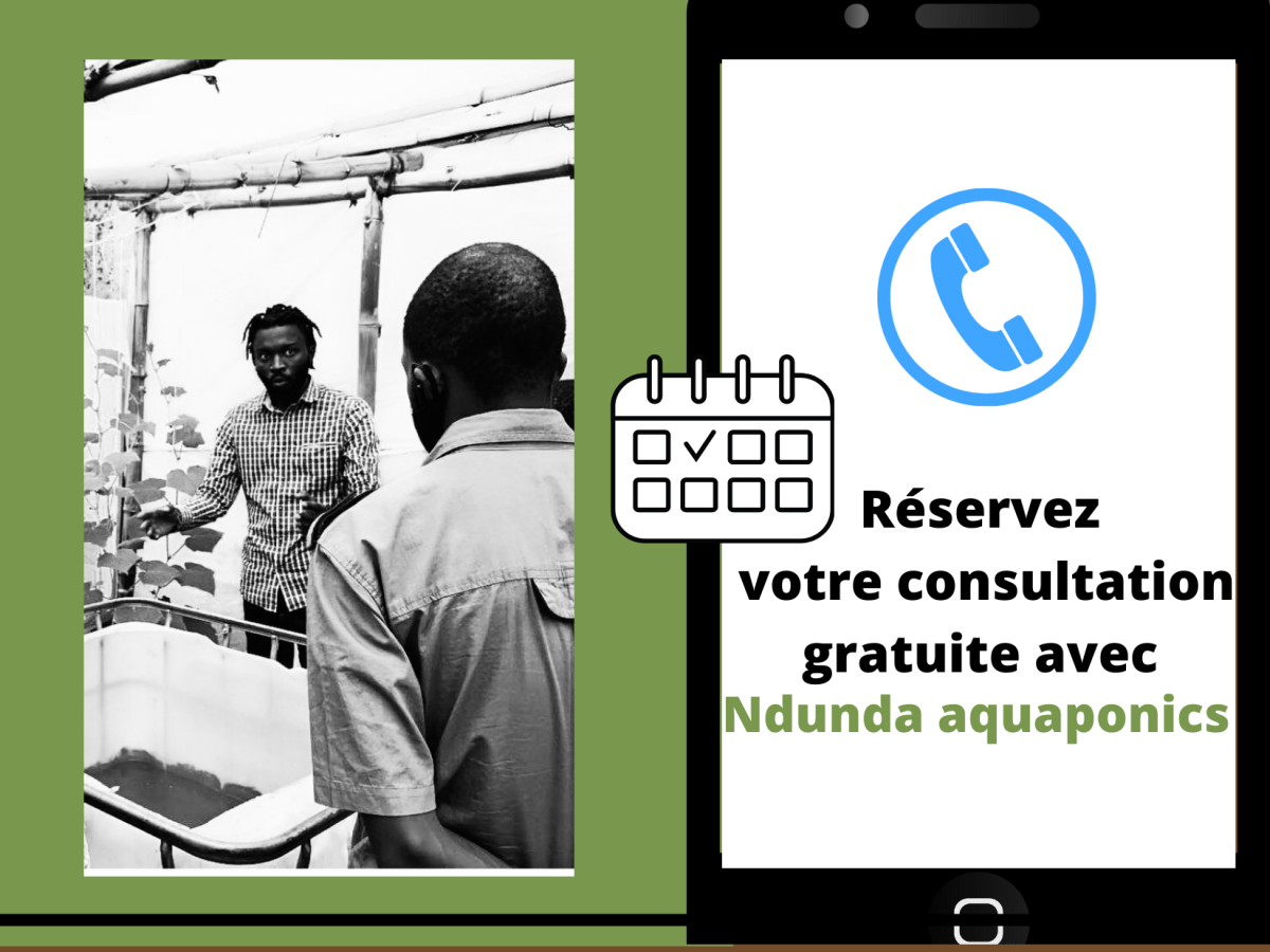 Consultation gratuite