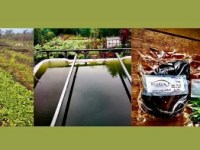 Service de gestion agriculture et aquaculture en RD&nbsp;Congo